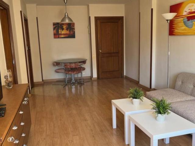 Alquiler 1 Dormitorio Apartamentos Madrid Madrid DS100532802