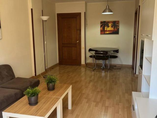 Alquiler 1 Dormitorio Apartamentos Madrid Madrid DS100532804