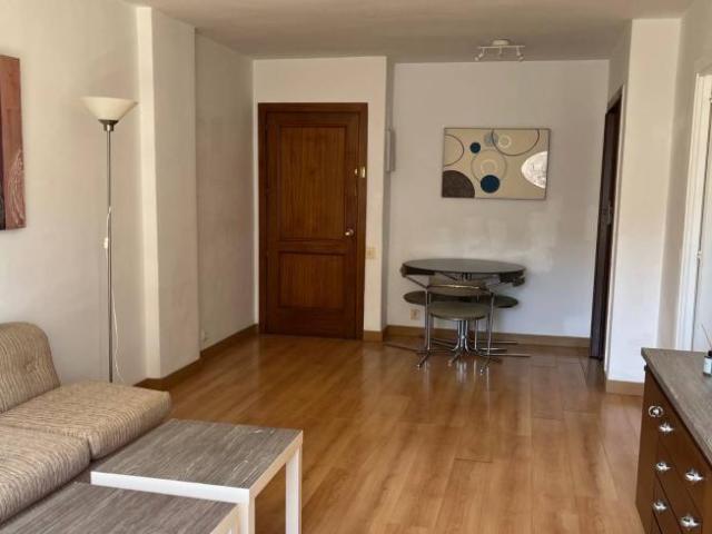 Alquiler 1 Dormitorio Apartamentos Madrid Madrid DS100532812
