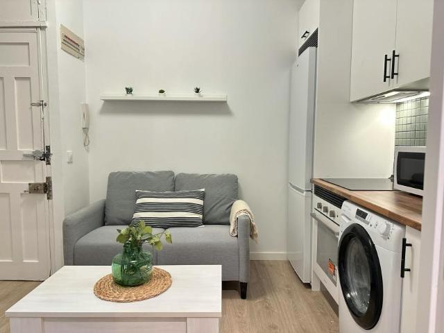 Alquiler 1 Dormitorio Apartamentos Madrid Madrid DS100718549