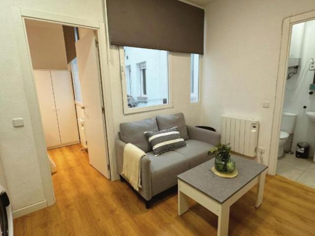 Alquiler 1 Dormitorio Apartamentos Madrid Madrid DS100719679