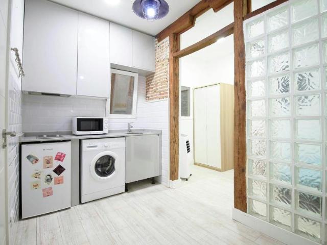 Alquiler 1 Dormitorio Apartamentos Madrid Madrid DS100727094