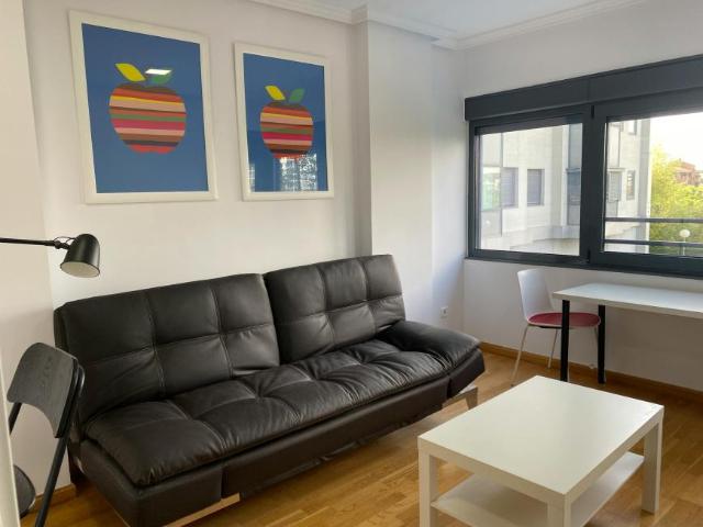 Alquiler 1 Dormitorio Apartamentos Madrid Madrid DS100730317