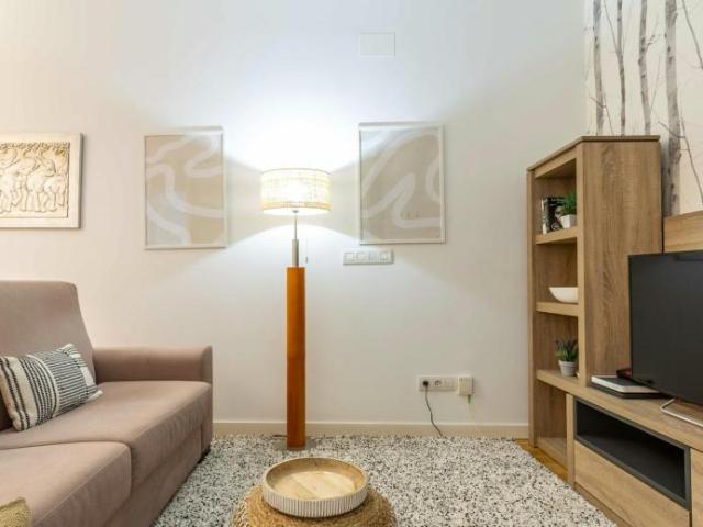 Alquiler 1 Dormitorio Apartamentos Madrid Madrid DS100765568
