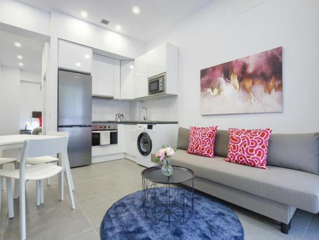 Alquiler 1 Dormitorio Apartamentos Madrid Madrid DS100944379