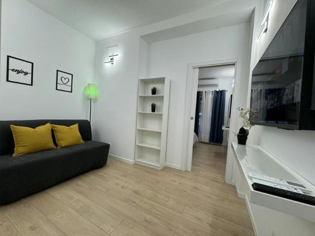 Alquiler 1 Dormitorio Apartamentos Madrid Madrid DS100991885