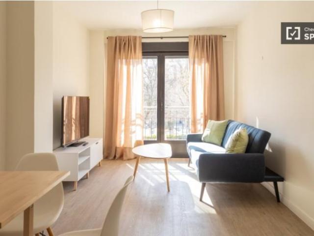 Alquiler 1 Dormitorio Apartamentos Madrid Madrid DS100089520