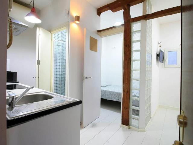 Alquiler 1 Dormitorio Apartamentos Madrid Madrid DS100216286