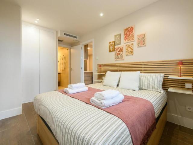 Alquiler 1 Dormitorio Apartamentos Madrid Madrid DS101511947