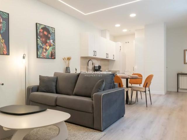 Alquiler 1 Dormitorio Apartamentos Madrid Madrid DS101664548
