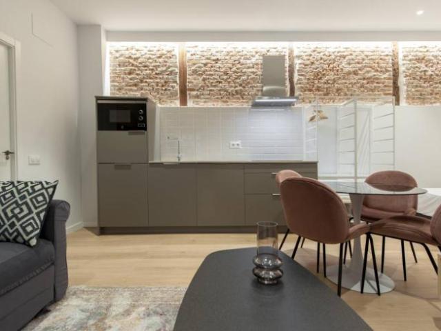 Alquiler 1 Dormitorio Apartamentos Madrid Madrid DS101671562