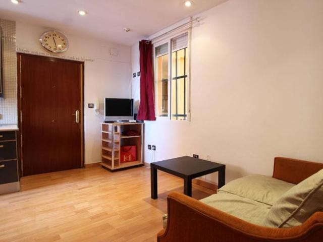 Alquiler 1 Dormitorio Apartamentos Madrid Madrid DS101671913