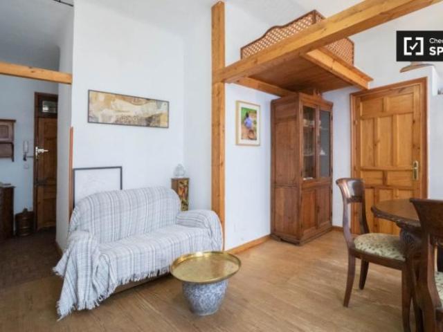 Alquiler 1 Dormitorio Apartamentos Madrid Madrid DS101671923