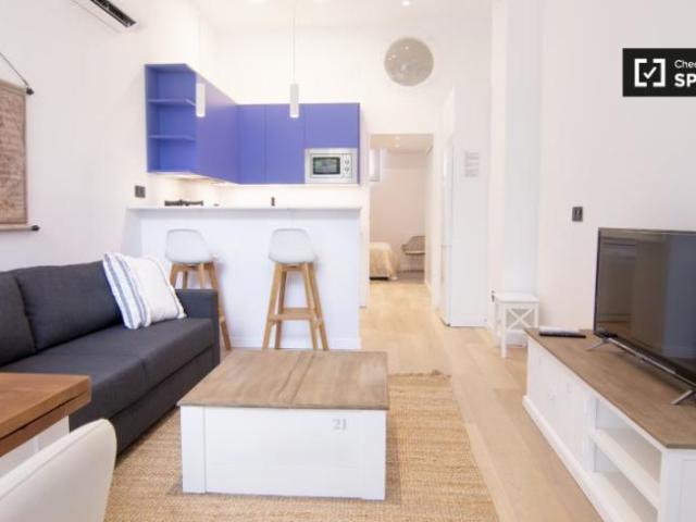 Alquiler 1 Dormitorio Apartamentos Madrid Madrid DS101671958