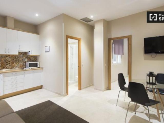 Alquiler 1 Dormitorio Apartamentos Madrid Madrid DS101671135