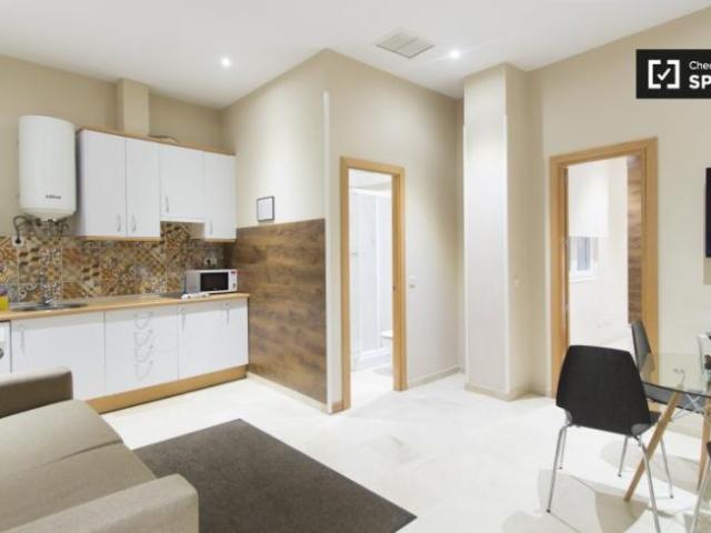 Alquiler 1 Dormitorio Apartamentos Madrid Madrid DS101671200