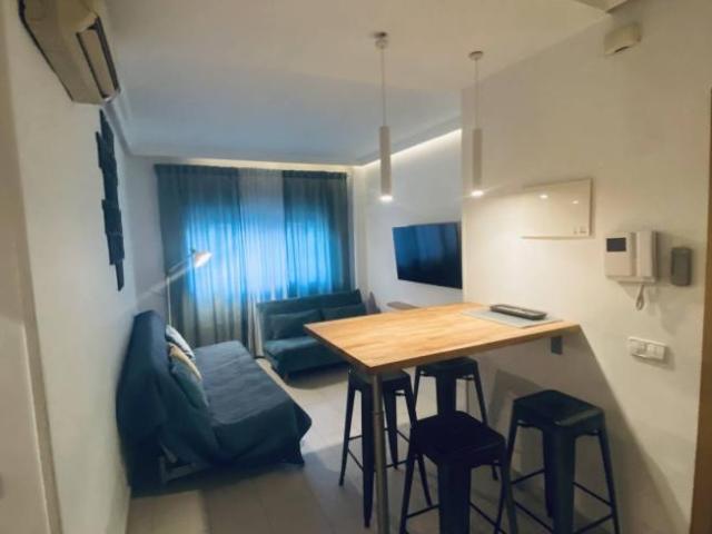 Alquiler 1 Dormitorio Apartamentos Madrid Madrid DS101672113