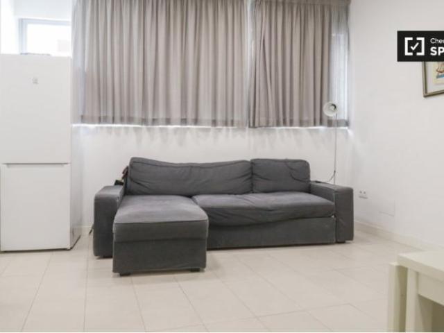 Alquiler 1 Dormitorio Apartamentos Madrid Madrid DS101692636