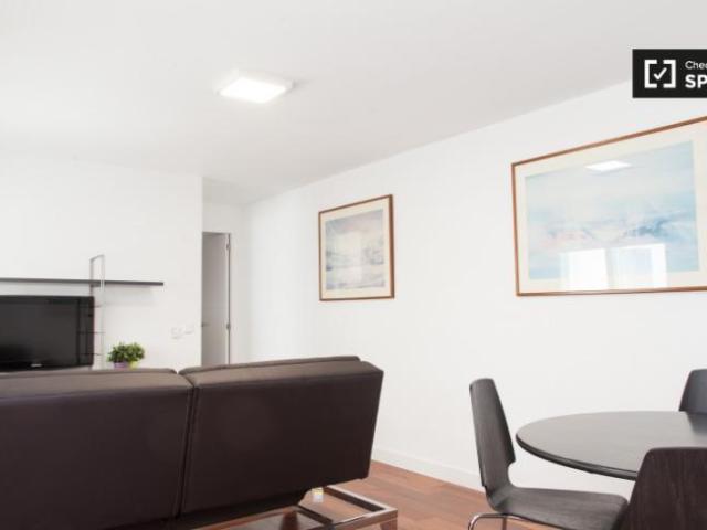 Alquiler 1 Dormitorio Apartamentos Madrid Madrid DS101730594