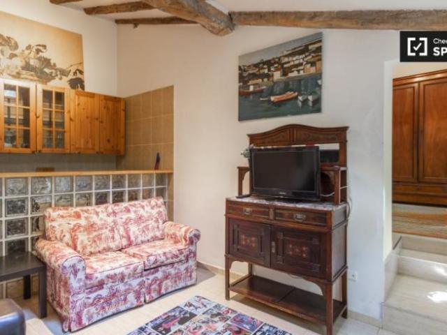 Alquiler 1 Dormitorio Apartamentos Madrid Madrid DS101730596