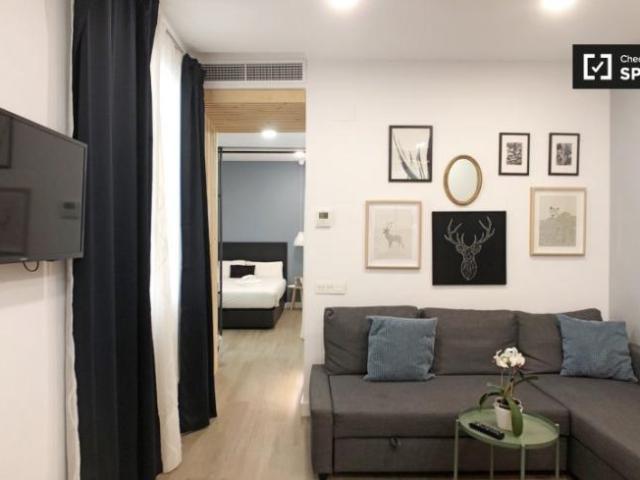 Alquiler 1 Dormitorio Apartamentos Madrid Madrid DS101730701