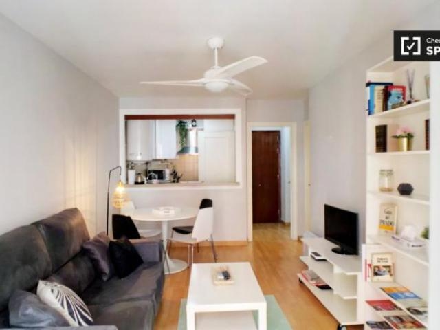 Alquiler 1 Dormitorio Apartamentos Madrid Madrid DS101731720