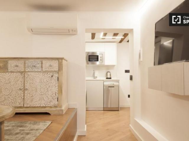Alquiler 1 Dormitorio Apartamentos Madrid Madrid DS101731020