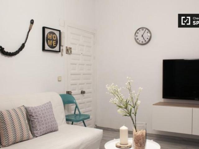 Alquiler 1 Dormitorio Apartamentos Madrid Madrid DS101731261