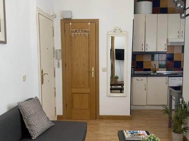 Alquiler 1 Dormitorio Apartamentos Madrid Madrid DS101731321
