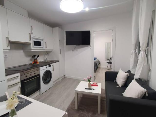 Alquiler 1 Dormitorio Apartamentos Madrid Madrid DS101731325