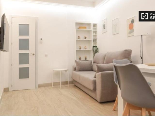 Alquiler 1 Dormitorio Apartamentos Madrid Madrid DS101734451