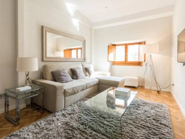 Alquiler 1 Dormitorio Apartamentos Madrid Madrid DS101735005
