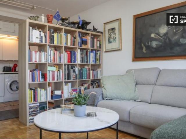 Alquiler 1 Dormitorio Apartamentos Madrid Madrid DS101736946