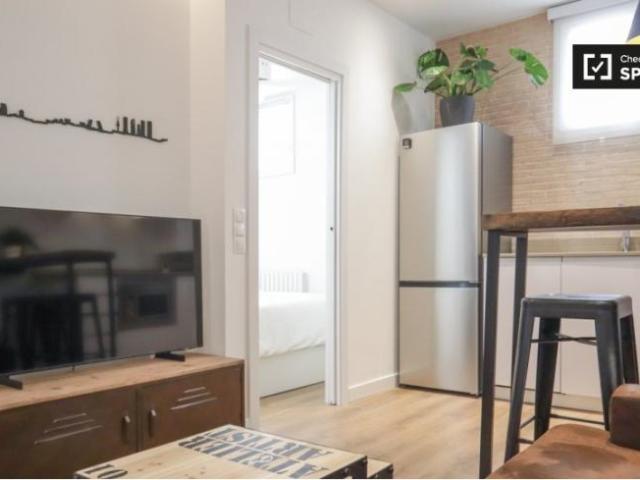 Alquiler 1 Dormitorio Apartamentos Madrid Madrid DS101737740