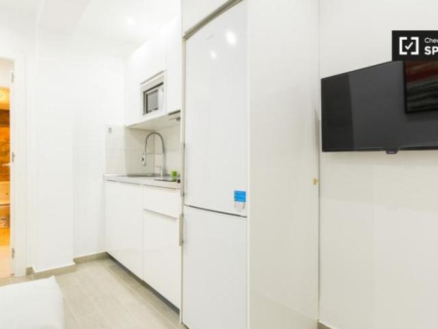 Alquiler 1 Dormitorio Apartamentos Madrid Madrid DS101737145