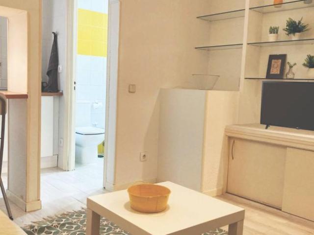 Alquiler 1 Dormitorio Apartamentos Madrid Madrid DS101761776