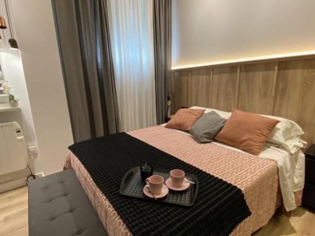 Alquiler 1 Dormitorio Apartamentos Madrid Madrid DS101765828