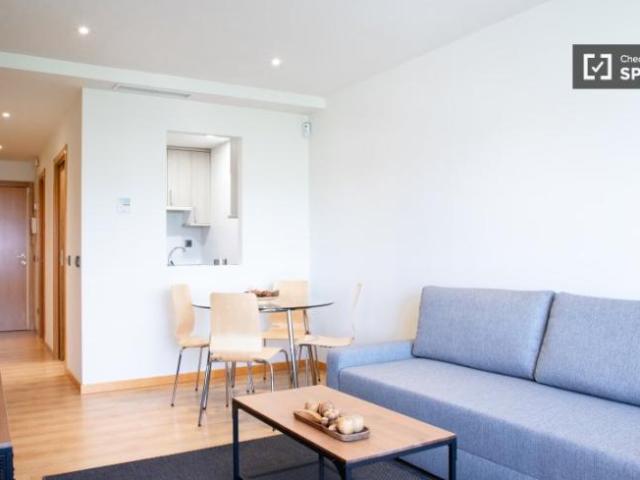 Alquiler 1 Dormitorio Apartamentos Madrid Madrid DS101770727