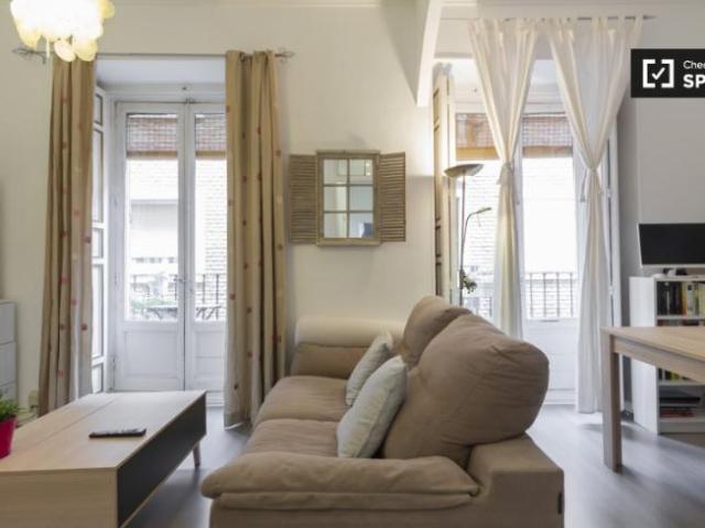 Alquiler 1 Dormitorio Apartamentos Madrid Madrid DS101771720