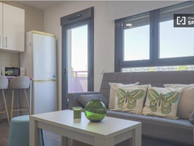 Alquiler 1 Dormitorio Apartamentos Madrid Madrid DS101776481