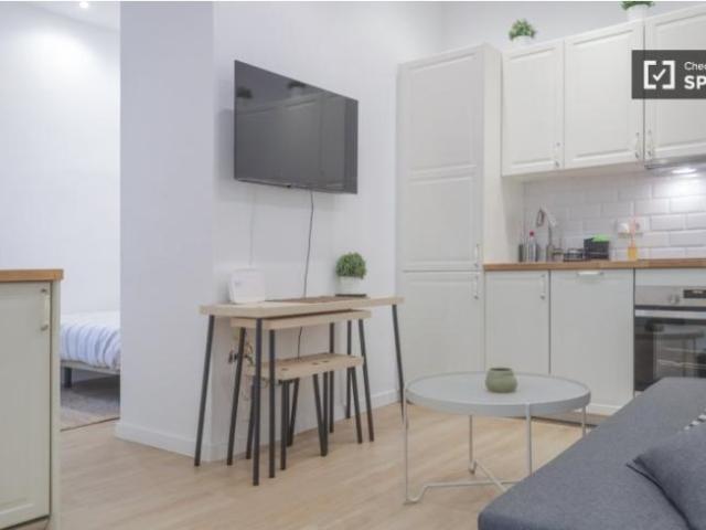 Alquiler 1 Dormitorio Apartamentos Madrid Madrid DS101805667