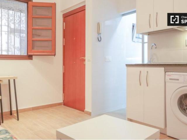 Alquiler 1 Dormitorio Apartamentos Madrid Madrid DS101806777