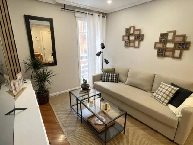Alquiler 1 Dormitorio Apartamentos Madrid Madrid DS101807190