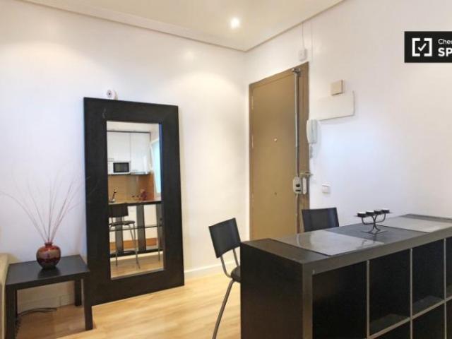 Alquiler 1 Dormitorio Apartamentos Madrid Madrid DS101808336
