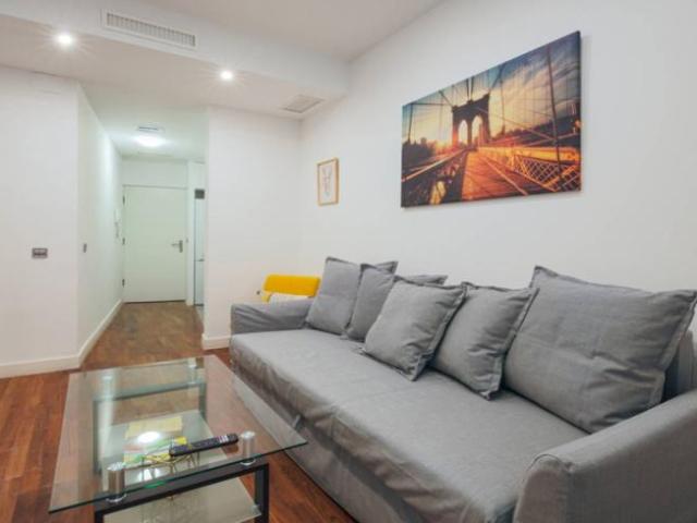 Alquiler 1 Dormitorio Apartamentos Madrid Madrid DS101808360