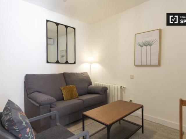 Alquiler 1 Dormitorio Apartamentos Madrid Madrid DS101812708