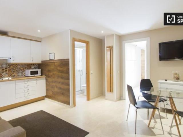 Alquiler 1 Dormitorio Apartamentos Madrid Madrid DS101813613