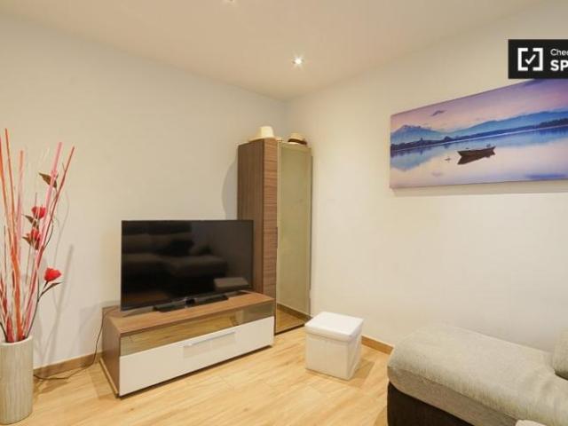 Alquiler 1 Dormitorio Apartamentos Madrid Madrid DS101814691