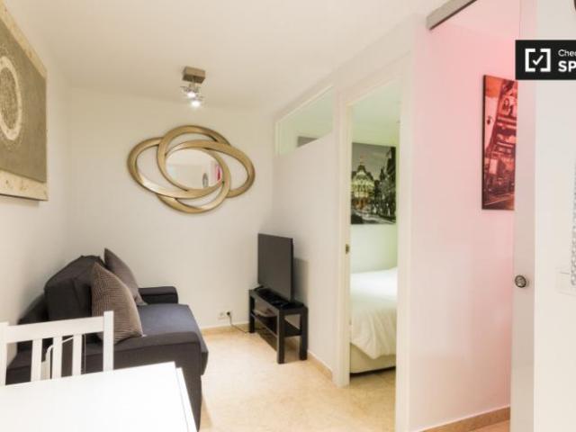 Alquiler 1 Dormitorio Apartamentos Madrid Madrid DS101814253