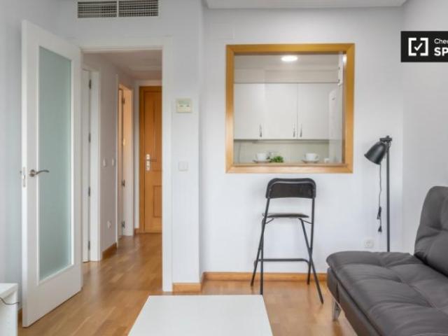Alquiler 1 Dormitorio Apartamentos Madrid Madrid DS101817694